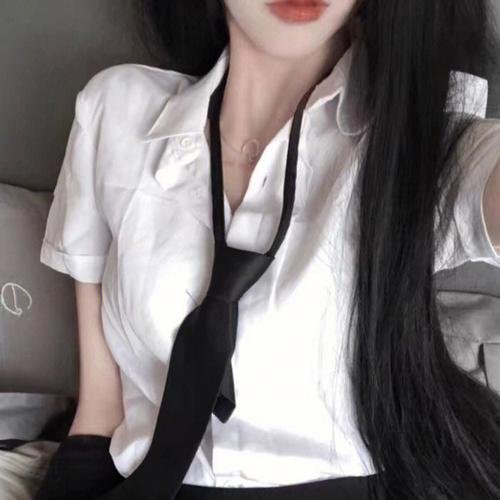 大贼与金丝猫